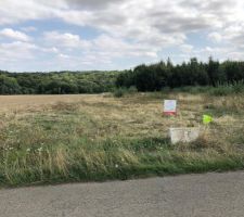 En forme de rectangle du champs de bl&eacute; jusqu?au petit bois