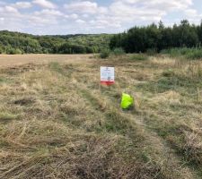 Le boulot de monstre pour enlever les arbustes