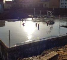Dalle qui prend l'un des premiers bain de soleil de l'année