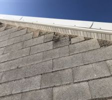 Ce qu'il est intéressant de voir sur cette photo est la qualité des finitions ainsi que la hauteur des planches ne couvrent même pas la hauteur du débord de toit...