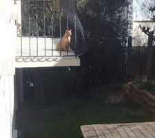 Carrelage balcon