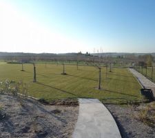 Pelouse du verger tondue 26.02.19 au premier plan l'espace jardin qui sera aménagé en Avril  chemin et plantations