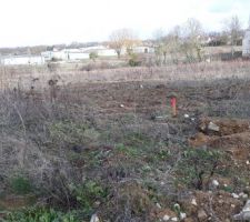Des pieux en bois ont été posés en face du futur parking...
