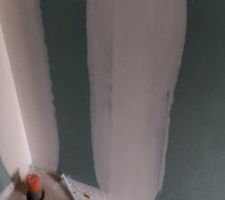 Douche SDE Suite Parentale (avec un fil de neutre apparemment...)