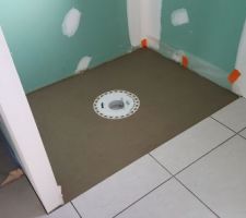 Pose carrelage Salle de bain