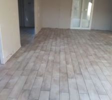 Placo abîmé par les chapiste