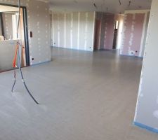 Pose de l'isolant tms au sol et chape liquide