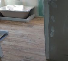 Pose du carrelage de la pièce à vivre et du carrelage imitation parquet dans la salle de bain