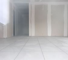 Carrelage des pièces communes