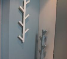 Vue portes manteaux entrée