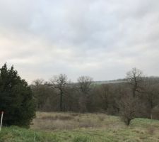 Terrain choisi face au bois dans une impasse
