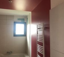 03.03.19 peinture salle de bain terminé 
Foncé sur photo mais c est framboise clair