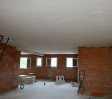 Platres du plafond