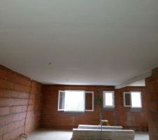 Platres du plafond