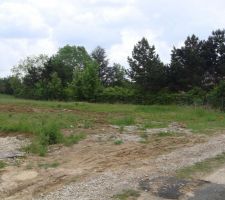 Une photo du terrain