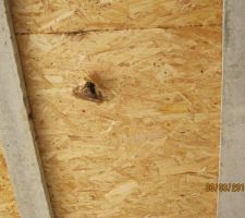 Un trou dans la sous-face bois de l'entrevous creux polystyr&egrave;ne sous la dalle b&eacute;ton de l'&eacute;tage