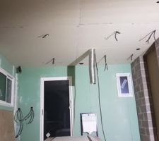 Réalisation des plafonds cuisine, salle d'eau et WC. 4 spots, 4 suspensions, 3 VMC, 1 hotte et 1 boîte de dérive pour les volets. Ca en fait des trous !