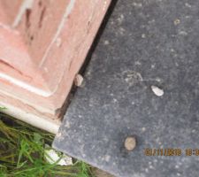 Manquerait pas le joint entre le mur et la pierre de seuil, histoire que les escargots n'y aillent pas...