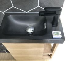 Lave main WC choix validé article commandé