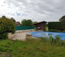 Le terrain avant que je sorte la tron&ccedil;onneuse et la d&eacute;broussailleuse :) :) :)