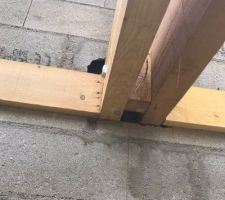 Manque de ciment ?