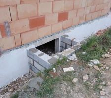 Cour anglaise accès vide sanitaire