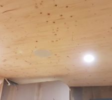 Le plafond de la salle de bain