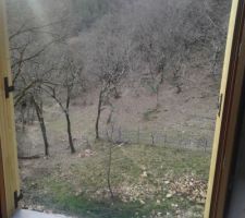 Vue depuis chambre