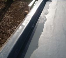 Problème avec la pente de toit. L'eau stagne :( bon plan pour les moustiques cet été :(