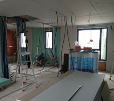 Les plaquistes roumains en plein travail