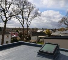 Vue du toit et mon affreux vélux qui dépasse :( j'imaginais avoir un globe comme au dessus de mon garage
