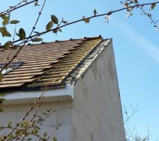 Reprises des rampants le 14/02/2019, sachant que le placo et l'isolation &agrave; l'int&eacute;rieur de la maison sont faites. Ils ont du coup&eacute; les tasseaux soutenant les tuiles, couper l'&eacute;cran sous-toiture et ils sont all&eacute;s ajout&eacute; des ferraillages alors qu'il n'y avait pas les ferraillages auxquels ils auraient du les accrocher... du n'importe quoi... et cela fait 4 semaines que notre toit est comme &ccedil;a.