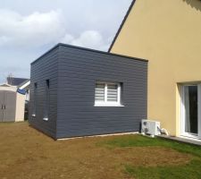 Extension