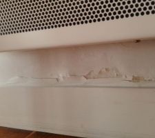 Les premiers dégâts qui mettent la puce à l'oreille