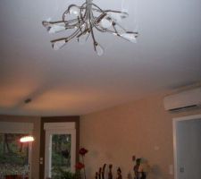 Le luminaire du salon.