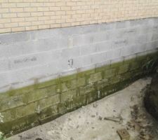 Pompage en vue des travaux de drainage