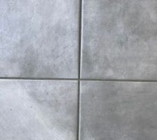 Les joints, peut être un peu foncé. A voir une fois réellement sec.