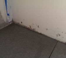 Placo moissis 
On a d&ucirc; menacer le constructeur pour refaire experte partie ..