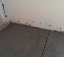 Placo moissis 
On a d&ucirc; menacer le constructeur pour refaire experte partie ..