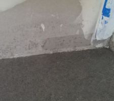 Placo moissis 
On a d&ucirc; menacer le constructeur pour refaire experte partie ..