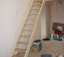 L'échelle de meunier (en attendant l'escalier définitif !)