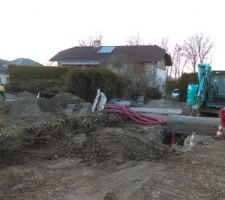 Début des réseaux