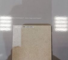 MAP- CHOIX CARRELAGE SDE/SDB CELLIER  couleur gris mais pas effet grip