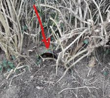 &eacute;vacuation eau voisin