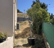 Aménagement du jardin : Motte de terre avant travaux.