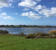 Etang à côté de chez nous