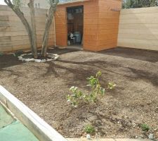 Espace détente devant l'abri de jardin