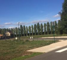 Toute la r&eacute;sidence est bois&eacute;e...
C'est ce qui nous a plu.