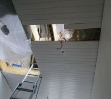 Un pied aurai t il traverser le plafond ?