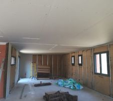 Le plaquiste a commencé les travaux ça avance vite nous sommes très contents ??
Il devrait avoir fini en milieu de semaine prochaine. 
Nous partons deux semaines donc dès notre retour on vous montrera l'évolution ??
A très vite 
Alexia et Nicolas
